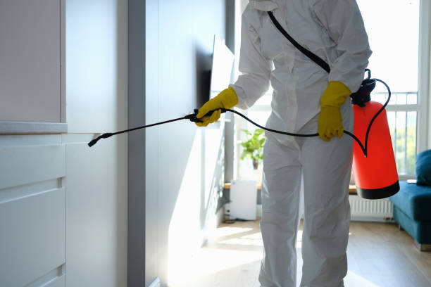 Huntington Bay, NY Mold Remediation Company